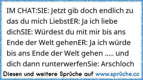 IM CHAT:
SIE: Jetzt gib doch endlich zu das du mich Liebst
ER: Ja ich liebe dich
SIE: Würdest du mit mir bis ans Ende der Welt gehen
ER: Ja ich würde bis ans Ende der Welt gehen ..... und dich dann runterwerfen
Sie: Arschloch