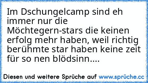 Im Dschungelcamp sind eh immer nur die Möchtegern-stars die keinen erfolg mehr haben, weil richtig berühmte star haben keine zeit für so nen blödsinn....