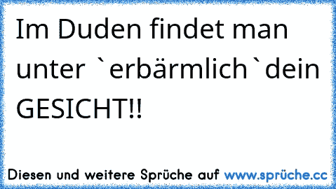 Im Duden findet man unter `erbärmlich`dein GESICHT!!