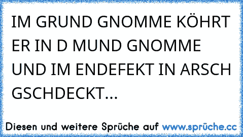 IM GRUND GNOMME KÖHRT ER IN D MUND GNOMME UND IM ENDEFEKT IN ARSCH GSCHDECKT...