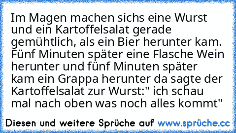 Im Magen machen sichs eine Wurst und ein Kartoffelsalat gerade gemühtlich, als ein Bier herunter kam. Fünf Minuten später eine Flasche Wein herunter und fünf Minuten später kam ein Grappa herunter da sagte der Kartoffelsalat zur Wurst:" ich schau mal nach oben was noch alles kommt"