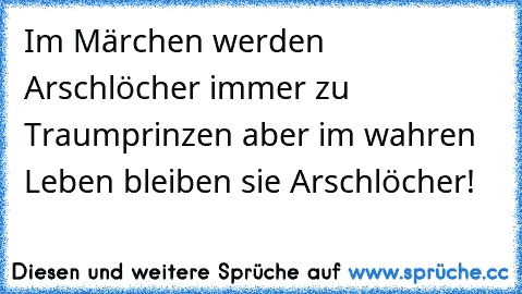 Im Märchen werden Arschlöcher immer zu Traumprinzen aber im wahren Leben bleiben sie Arschlöcher!