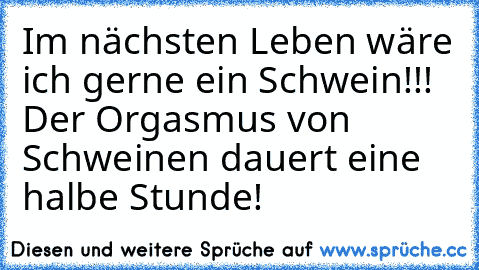 Im nächsten Leben wäre ich gerne ein Schwein!!! Der Orgasmus von Schweinen dauert eine halbe Stunde!