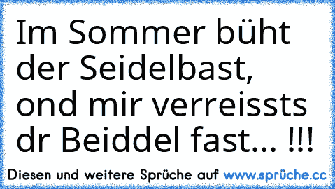 Im Sommer büht der Seidelbast, ond mir verreisst´s dr Beiddel fast... !!!