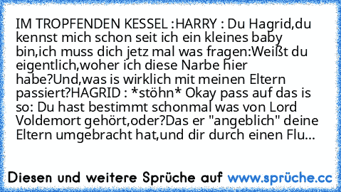 IM TROPFENDEN KESSEL :
HARRY : Du Hagrid,du kennst mich schon seit ich ein kleines baby bin,ich muss dich jetz mal was fragen:Weißt du eigentlich,woher ich diese Narbe hier habe?Und,was is wirklich mit meinen Eltern passiert?
HAGRID : *stöhn* Okay pass auf das is so: Du hast bestimmt schonmal was von Lord Voldemort gehört,oder?
Das er "angeblich" deine Eltern umgebracht hat,und dir durch einen ...