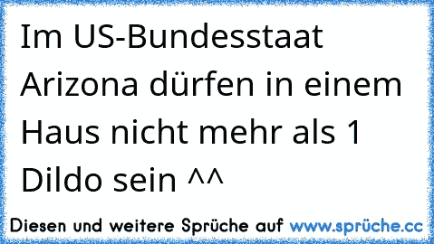 Im US-Bundesstaat Arizona dürfen in einem Haus nicht mehr als 1 Dildo sein ^^