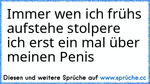 Immer wen ich frühs aufstehe stolpere ich erst ein mal über meinen Penis