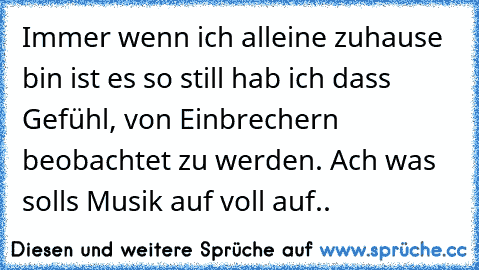 Immer wenn ich alleine zuhause bin ist es so still hab ich dass Gefühl, von Einbrechern beobachtet zu werden. Ach was solls Musik auf voll auf..