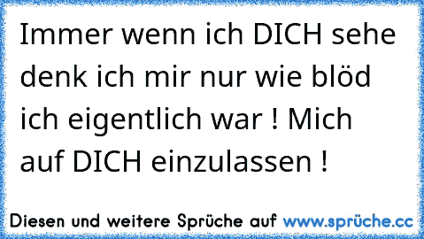 Immer wenn ich DICH sehe denk ich mir nur wie blöd ich eigentlich war ! Mich auf DICH einzulassen !