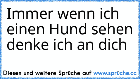 Immer wenn ich einen Hund sehen denke ich an dich ♥