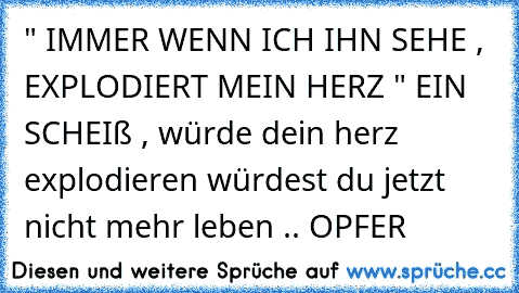 " IMMER WENN ICH IHN SEHE , EXPLODIERT MEIN HERZ " EIN SCHEIß , würde dein herz explodieren würdest du jetzt nicht mehr leben .. OPFER