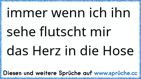 immer wenn ich ihn sehe flutscht mir das Herz in die Hose