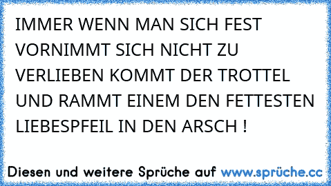 IMMER WENN MAN SICH FEST VORNIMMT SICH NICHT ZU VERLIEBEN KOMMT DER TROTTEL UND RAMMT EINEM DEN FETTESTEN LIEBESPFEIL IN DEN ARSCH !