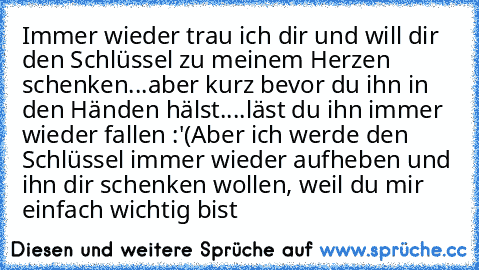 Immer wieder trau ich dir und will dir den Schlüssel zu meinem Herzen schenken...aber kurz bevor du ihn in den Händen hälst....läst du ihn immer wieder fallen :'(
Aber ich werde den Schlüssel immer wieder aufheben und ihn dir schenken wollen, weil du mir einfach wichtig bist ♥