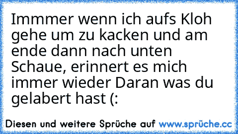 Immmer wenn ich aufs Kloh gehe um zu kacken und am ende dann nach unten Schaue, erinnert es mich immer wieder Daran was du gelabert hast (: