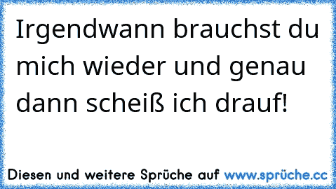 Irgendwann brauchst du mich wieder und genau dann scheiß ich drauf!