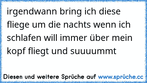 irgendwann bring ich diese fliege um die nachts wenn ich schlafen will immer über mein kopf fliegt und suuuummt