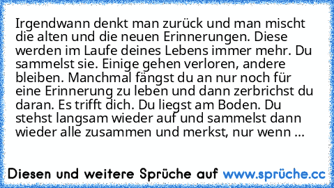 Irgendwann denkt man zurück und man mischt die alten und die neuen Erinnerungen. Diese werden im Laufe deines Lebens immer mehr. Du sammelst sie. Einige gehen verloren, andere bleiben. Manchmal fängst du an nur noch für eine Erinnerung zu leben und dann zerbrichst du daran. Es trifft dich. Du liegst am Boden. Du stehst langsam wieder auf und sammelst dann wieder alle zusammen und merkst, nur we...