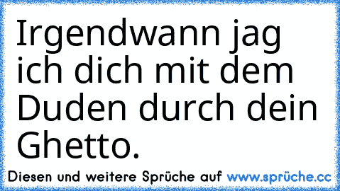 Irgendwann jag ich dich mit dem Duden durch dein Ghetto.