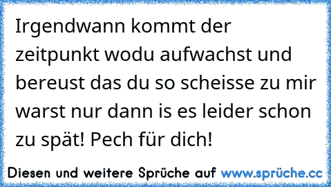 Irgendwann kommt der zeitpunkt wodu aufwachst und bereust das du so scheisse zu mir warst nur dann is es leider schon zu spät! Pech für dich!