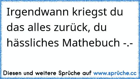 Irgendwann kriegst du das alles zurück, du hässliches Mathebuch -.-