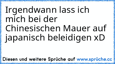 Irgendwann lass ich mich bei der Chinesischen Mauer auf japanisch beleidigen xD