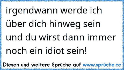 irgendwann werde ich über dich hinweg sein und du wirst dann immer noch ein idiot sein!