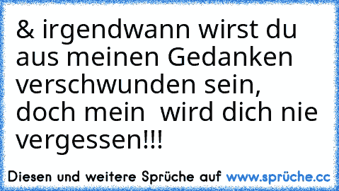 & irgendwann wirst du aus meinen Gedanken verschwunden sein, doch mein ♥ wird dich nie vergessen!!!