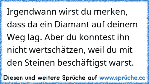 Irgendwann wirst du merken, dass da ein Diamant auf deinem Weg lag. Aber du konntest ihn nicht wertschätzen, weil du mit den Steinen beschäftigst warst.