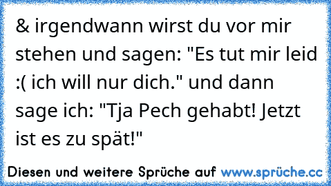 & irgendwann wirst du vor mir stehen und sagen: "Es tut mir leid :( ich will nur dich." und dann sage ich: "Tja Pech gehabt! Jetzt ist es zu spät!"