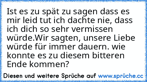 Ist es zu spät zu sagen dass es mir leid tut
 ich dachte nie, dass ich dich so sehr vermissen würde.
Wir sagten, unsere Liebe würde für immer dauern.
 wie konnte es zu diesem bitteren Ende kommen?