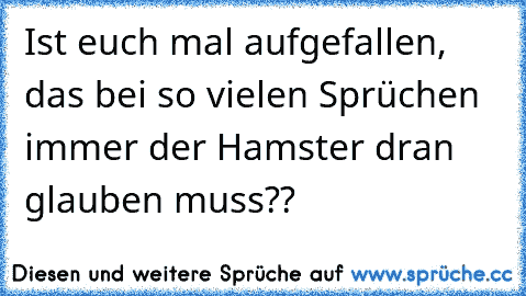 Ist euch mal aufgefallen, das bei so vielen Sprüchen immer der Hamster dran glauben muss??