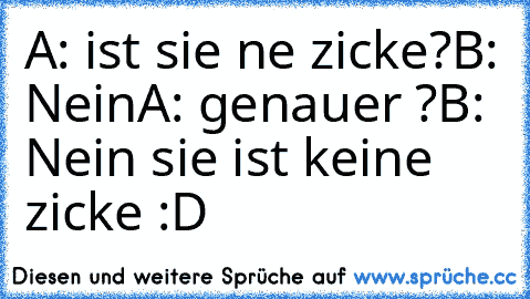 A: ist sie ne zicke?
B: Nein
A: genauer ?
B: Nein sie ist keine zicke :D