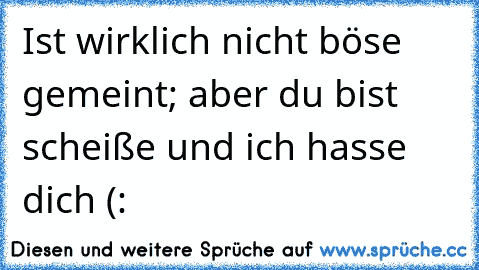 Ist wirklich nicht böse gemeint; aber du bist scheiße und ich hasse dich (: