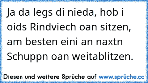 Ja da legs di nieda, hob i oids Rindviech oan sitzen, am besten eini an naxtn Schuppn oan weitablitzen.