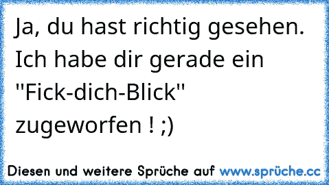 Ja, du hast richtig gesehen. Ich habe dir gerade ein ''Fick-dich-Blick'' zugeworfen ! ;)