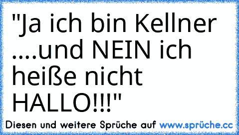 "Ja ich bin Kellner ....und NEIN ich heiße nicht HALLO!!!"