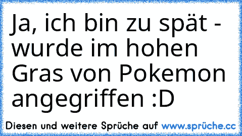 Ja, ich bin zu spät - wurde im hohen Gras von Pokemon angegriffen :D