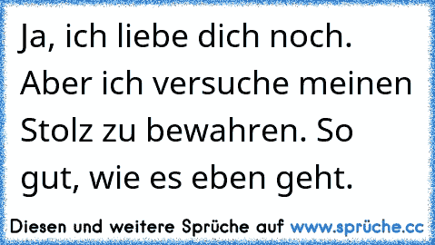 Ja, ich liebe dich noch. Aber ich versuche meinen Stolz zu bewahren. So gut, wie es eben geht.