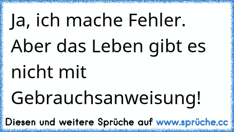 Ja, ich mache Fehler. Aber das Leben gibt es nicht mit Gebrauchsanweisung!