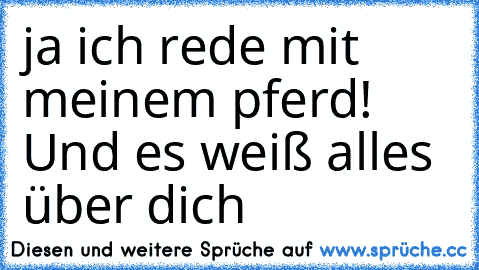 ja ich rede mit meinem pferd! Und es weiß alles über dich ♥