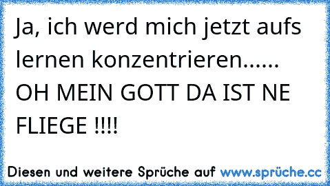 Ja, ich werd mich jetzt aufs lernen konzentrieren...... OH MEIN GOTT DA IST NE FLIEGE !!!!