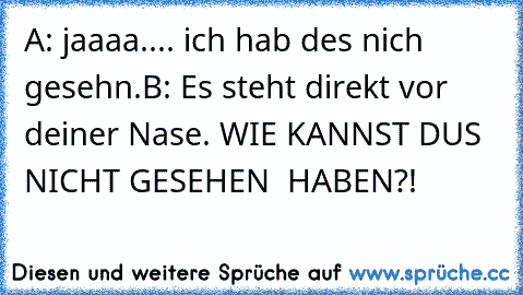 A: jaaaa.... ich hab des nich gesehn.
B: Es steht direkt vor deiner Nase. WIE KANNST DUS NICHT GESEHEN  HABEN?!