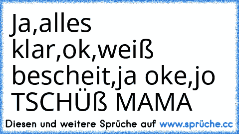 Ja,alles klar,ok,weiß bescheit,ja oke,jo TSCHÜß MAMA