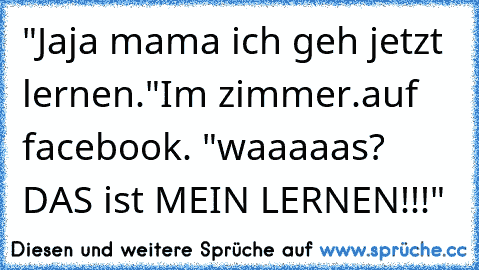 "Jaja mama ich geh jetzt lernen."
Im zimmer.auf facebook. 
"waaaaas? DAS ist MEIN LERNEN!!!"