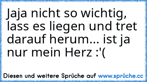 Jaja nicht so wichtig, lass es liegen und tret darauf herum... ist ja nur mein Herz :'(