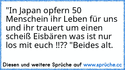 "In Japan opfern 50 Menschein ihr Leben für uns und ihr trauert um einen scheiß Eisbären was ist nur los mit euch !!?? "
Beides alt.