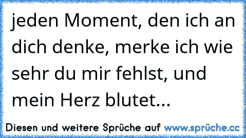 jeden Moment, den ich an dich denke, merke ich wie sehr du mir fehlst, und mein Herz blutet...