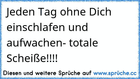 Jeden Tag ohne Dich einschlafen und aufwachen- totale Scheiße!!!!