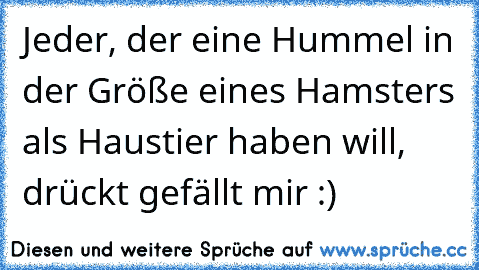 Jeder, der eine Hummel in der Größe eines Hamsters als Haustier haben will, drückt gefällt mir :)